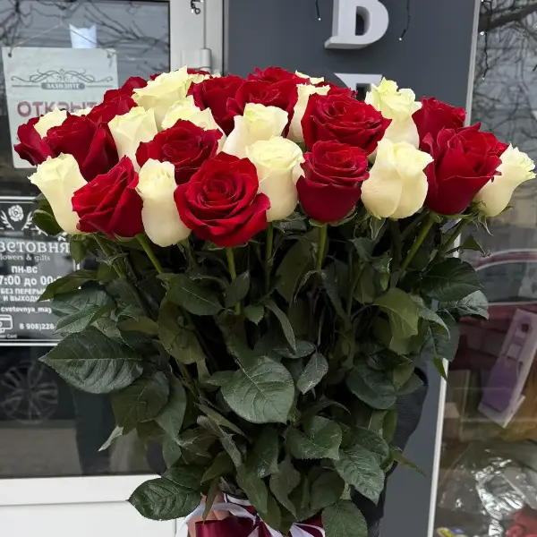 Букет из 51 голландской розы "Красный бархат"